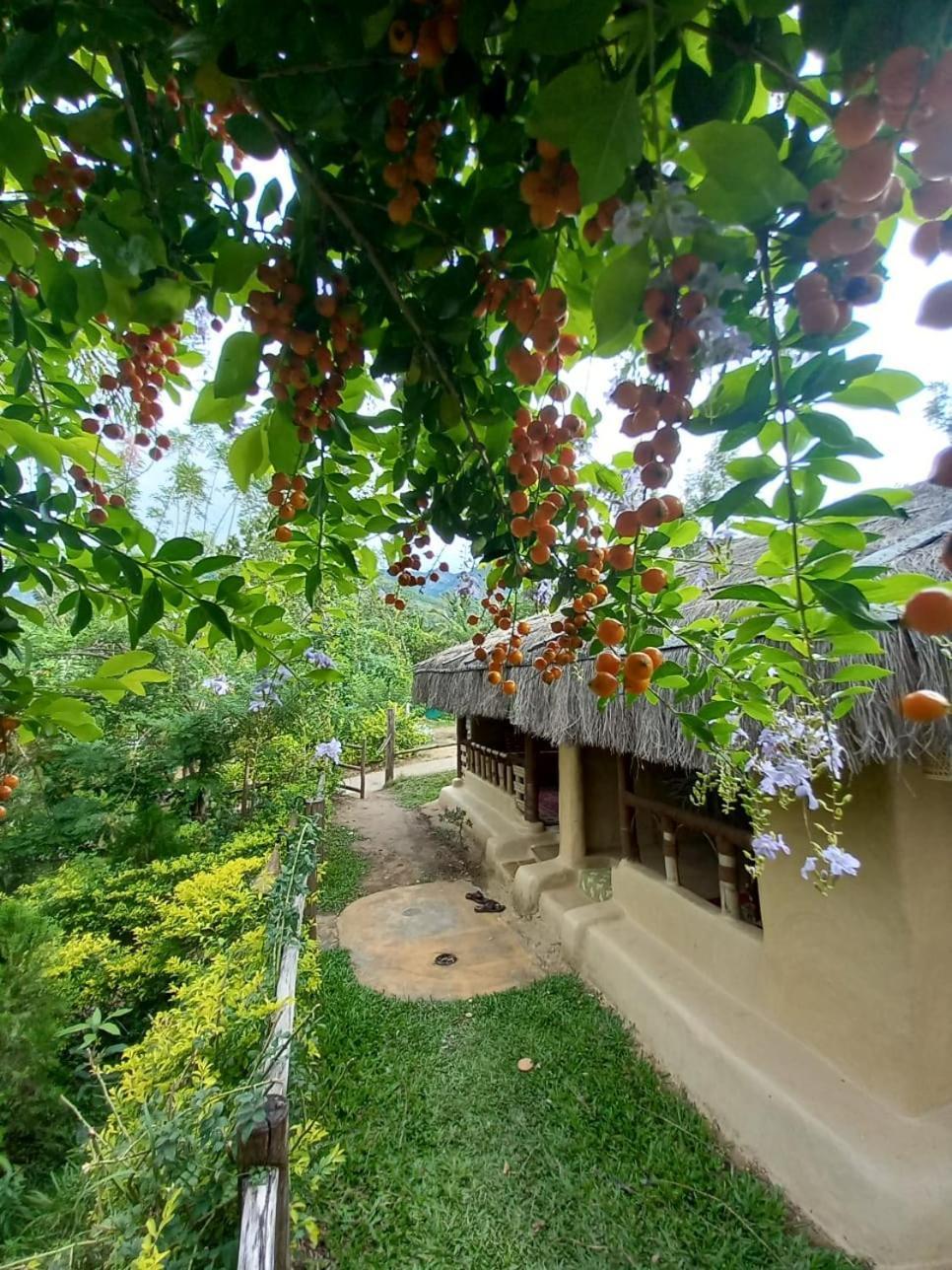 Nature Tones By Brdge Hospitality Maraiyur Luaran gambar