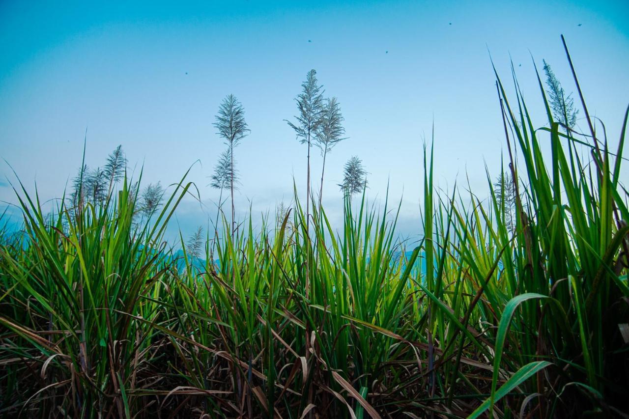 Nature Tones By Brdge Hospitality Maraiyur Luaran gambar
