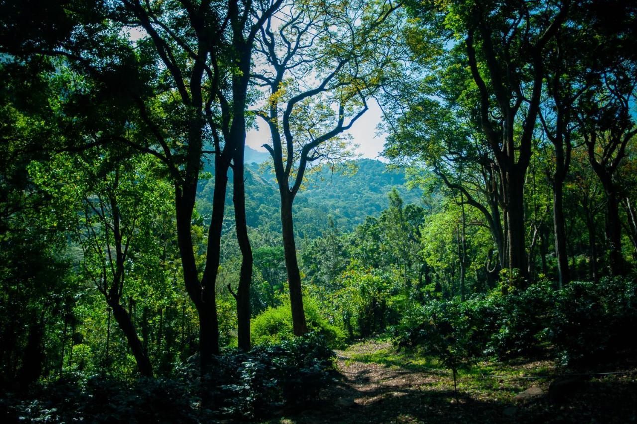 Nature Tones By Brdge Hospitality Maraiyur Luaran gambar