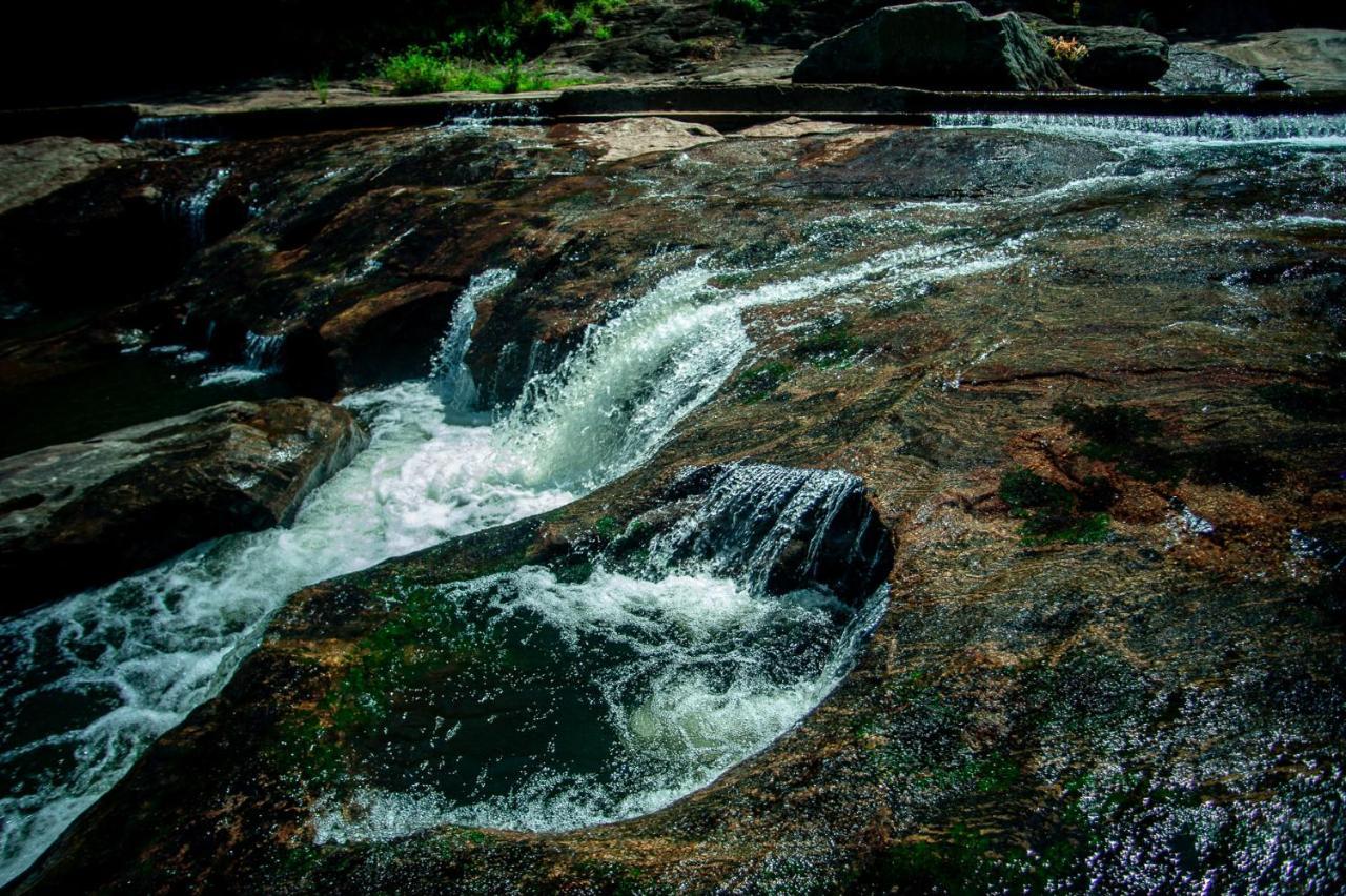 Nature Tones By Brdge Hospitality Maraiyur Luaran gambar
